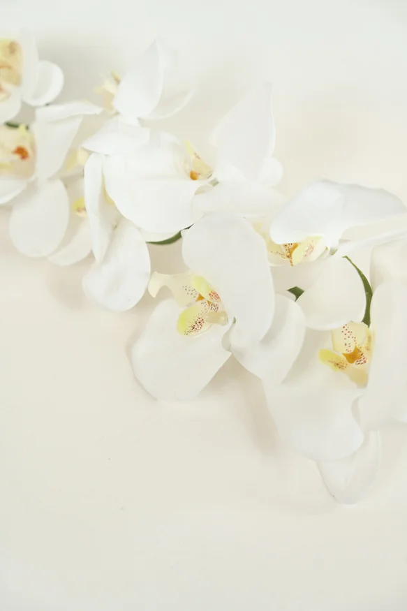 Flor Orquídea Phalaenopsis - Color Unico en Multicolor - Muebles para el exterior, Uruguay | Indian, vista 2