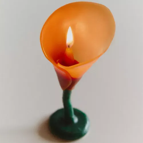 VELA DECORATIVA FLOR en Naranja - Velas y Portavelas, Uruguay | Zara Home