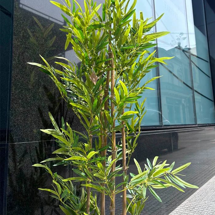 Planta artificial Bambú 160cm en Negro - Macetas, Uruguay | Alta Gracia Deco, vista 4