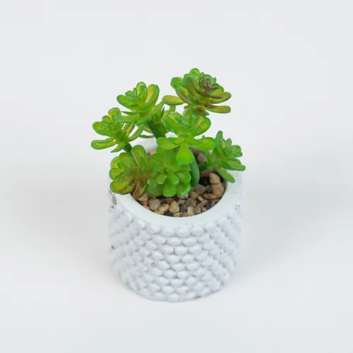 Planta Suculenta 691 Mini, Mix - Color Unico en Multicolor - Muebles para el exterior, Uruguay | Indian