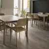 Silla Elba en Beige - Sillas, Uruguay | Walnut, vista 2 de 3