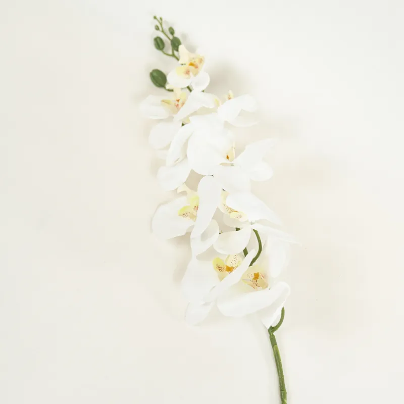 Flor Orquídea Phalaenopsis - Color Unico en Multicolor - Muebles para el exterior, Uruguay | Indian
