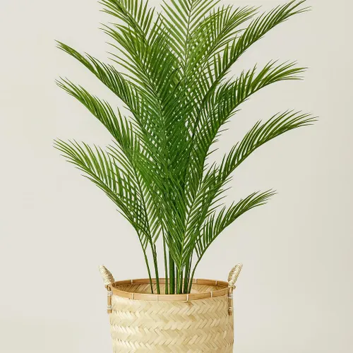 Palmera en Negro - Decoración, Uruguay | Indrana