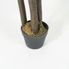 Planta Yucca 150cm - Color Unico en Multicolor - Muebles para el exterior, Uruguay | Indian, vista 3 de 4