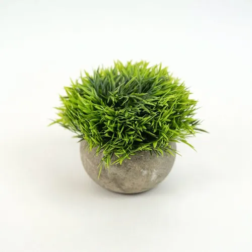 Planta Suculenta Artificial - Color Unico en Multicolor - Decoración, Uruguay | Indian
