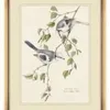 CUADRO BIRDS 2 - MARCO GOLD - 45 X 35 CMS en Dorado - Decoración de pared, Uruguay | La Iberica, vista 3 de 3
