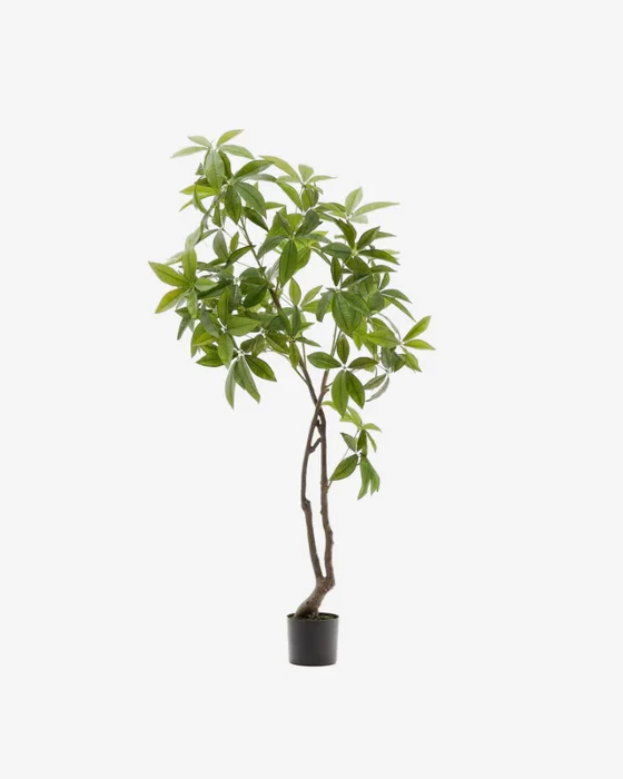Árbol artificial Pachira con maceta negra 180 cm en Madera natural - Macetas, Uruguay | Kavehome