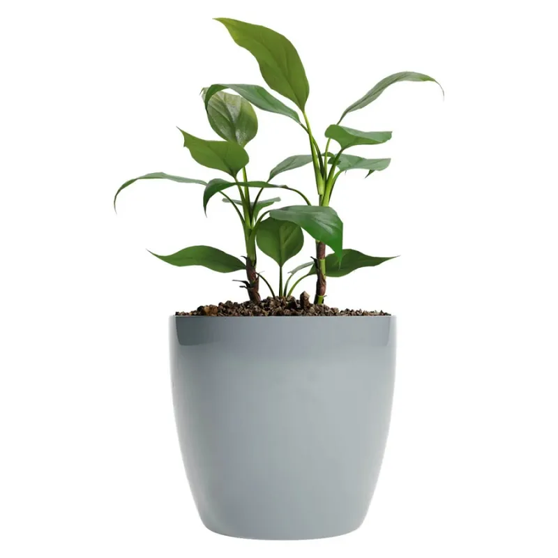 Macetero Premium N22 Gris 19.6cm Alto x 22 Diam Boca, 5,3 lts en Gris - Macetas, Uruguay | Champagne Home