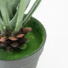 Planta Cintas - Color Unico en Multicolor - Decoración, Uruguay | Indian, vista 4 de 4