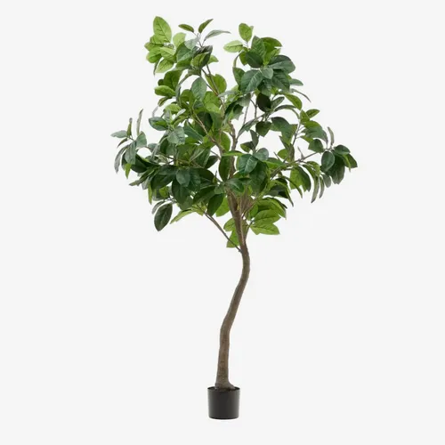 Árbol artificial Ficus con maceta negra 210 cm en Madera natural - Macetas, Uruguay | Kavehome
