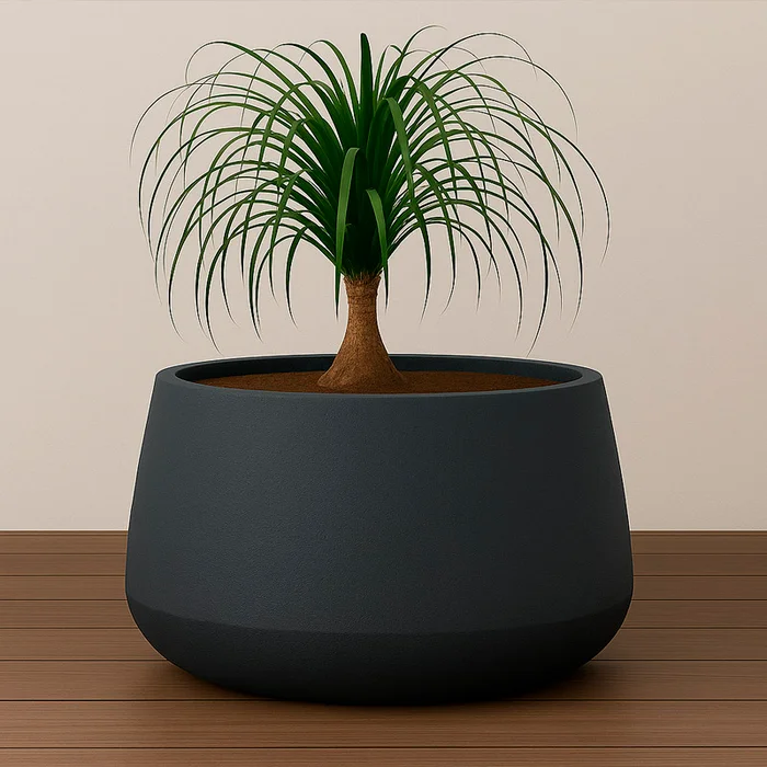 Maceta Bossa Baja en Negro - Macetas, Uruguay | Alta Gracia Deco