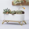MACETA CERAMICA C/BASE 17x9x9CM BLANCO/DORADO en Blanco - Macetas, Uruguay | Koz, vista 2 de 4