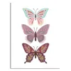 CUADRO CANVAS 30x40cm MARIPOSAS 1 - Decoración de pared, Uruguay | Decohogar, vista 1 de 2