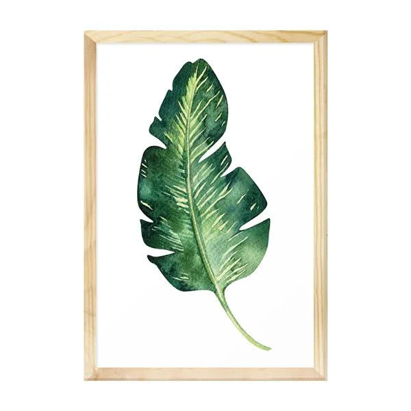 Cuadro / Lámina enmarcada 30x40cm Hojas y Plantas 2 - Decoración de pared, Uruguay | Alta Gracia Deco