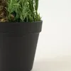 Planta Lavender 48cm - Color Unico en Multicolor - Muebles para el exterior, Uruguay | Indian, vista 4 de 4