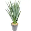 Planta Mandioca 55cm - Color Unico en Multicolor - Muebles para el exterior, Uruguay | Indian, vista 1 de 4