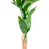 Planta Arum 100cm - Color Unico en Multicolor - Muebles para el exterior, Uruguay | Indian, vista 4 de 4