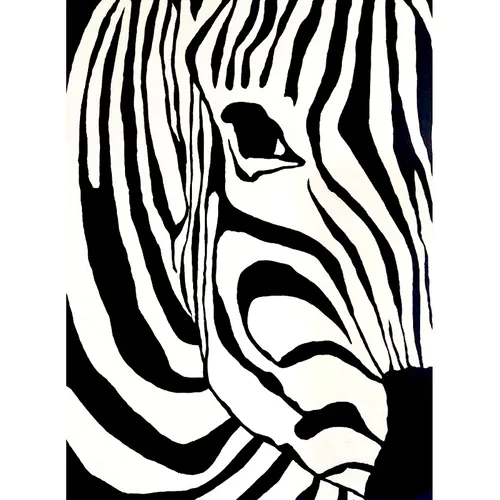 Cebra, óleo sobre lienzo 60x80cm en Multicolor - Decoración de pared, Uruguay | Alta Gracia Deco