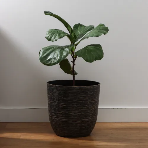 Maceta Rayas 22 - Macetas, Uruguay | Tiendas Montevideo
