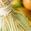 AROMATIZADOR GINGER LIME Large - Decoración, Uruguay | Viasono, vista 2 de 3