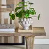 Florero Poldor - Decoración, Uruguay | Martinika Deco, vista 1 de 6