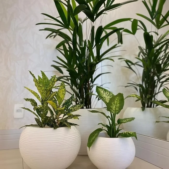 MACETA 17X19CM FLORENCA SISAL BLANCA en Blanco - Macetas, Uruguay | Decohogar, vista 3