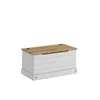 Baul Linea Rustica Blanco en Blanco - Muebles para TV, Uruguay | Albanés, vista 1 de 3