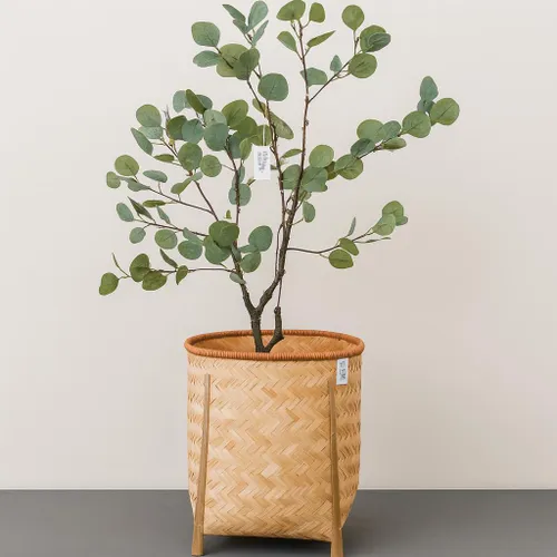 Eucalyptus en Negro - Decoración, Uruguay | Indrana