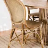 SILLA ROSSINI - SIKA DESIGN - MIEL en Marrón - Sillas, Uruguay | La Iberica, vista 7 de 14