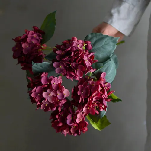 Tallo Hortensia rojo - Decoración, Uruguay | Martinika Deco