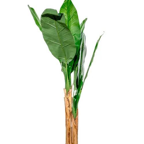 Planta Arum 120cm - Color Unico en Multicolor - Muebles para el exterior, Uruguay | Indian