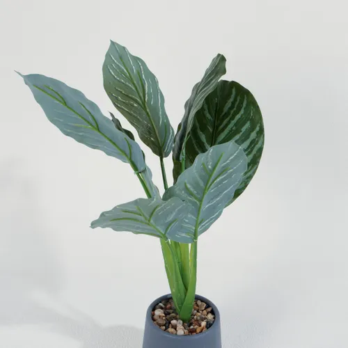 Planta Aglaonema 40cm - Color Unico en Multicolor - Muebles para el exterior, Uruguay | Indian