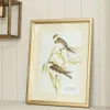 CUADRO BIRDS 1 - MARCO GOLD – 45 X 35 CMS en Dorado - Decoración de pared, Uruguay | La Iberica, vista 1 de 3