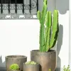 Kate Bronce - Macetas, Uruguay | Balcony, vista 4 de 11