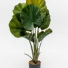 Planta Palmito De Jardín - Color Unico en Multicolor - Muebles para el exterior, Uruguay | Indian, vista 4 de 4