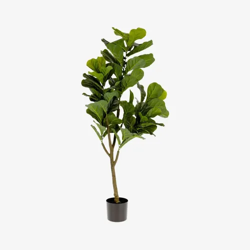 Planta artificial Ficus con maceta negro 150 cm en Verde - Macetas, Uruguay | Kavehome