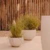 Macetero Grau de cemento blanco Ø 56 cm en Blanco - Muebles para el exterior, Uruguay | Kavehome, vista 2 de 5