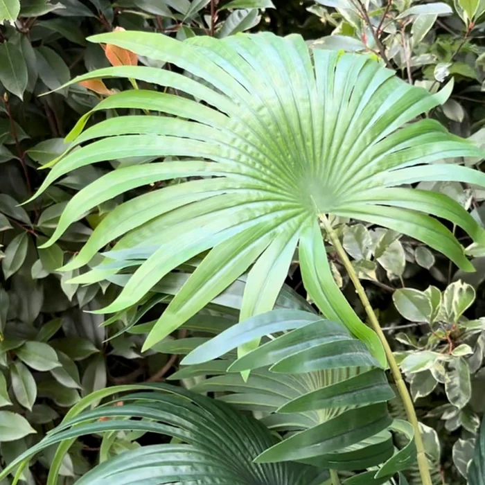 Planta Artificial Palma 160cm en Negro - Macetas, Uruguay | Alta Gracia Deco, vista 2