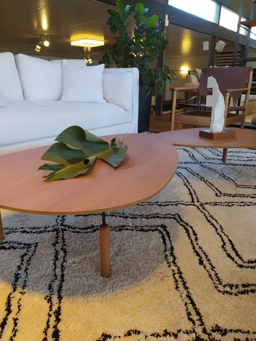 MESA DE LIVING PIEMONT 100X68X32H CM en Madera natural - Mesas de living, Uruguay | Vinibel, vista 5