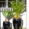 Ernest Black - Macetas, Uruguay | Balcony, vista 2 de 6