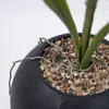 Planta Orquídea - Color Unico en Multicolor - Decoración, Uruguay | Indian, vista 4 de 4
