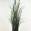 Planta Grass Violet 95cm - Color Unico en Multicolor - Muebles para el exterior, Uruguay | Indian, vista 1 de 4