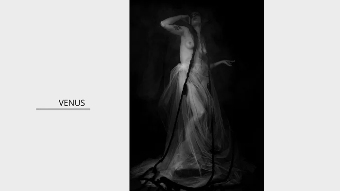Venus - Láminas, Uruguay | Mara Estudio