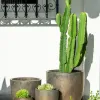 Kate Bronce - Macetas, Uruguay | Balcony, vista 6 de 11