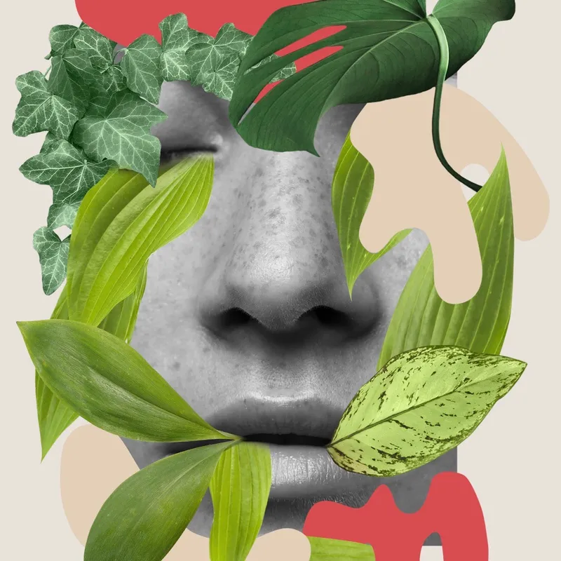 Verde - Láminas, Uruguay | Mara Estudio