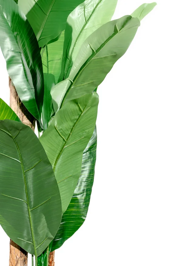 Planta Arum 100cm - Color Unico en Multicolor - Muebles para el exterior, Uruguay | Indian, vista 2