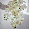 Tallo Orquídea blanco - Decoración, Uruguay | Martinika Deco, vista 8 de 12