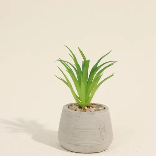Planta Suculenta 694 Mini, Mix - Color Unico en Multicolor - Muebles para el exterior, Uruguay | Indian