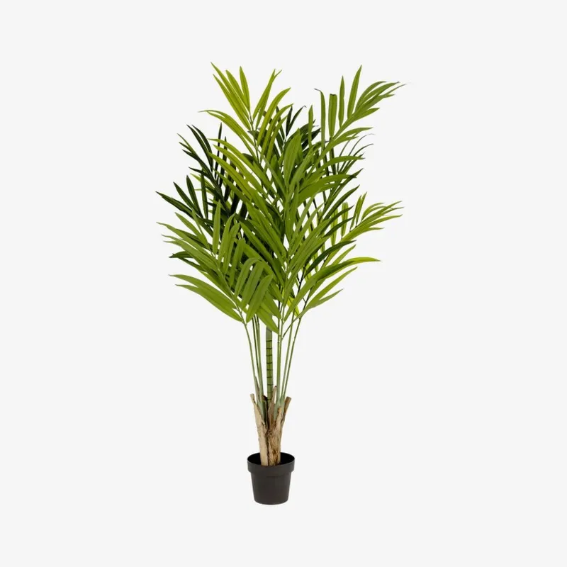 Planta artificial Palmera de bambú con maceta negro 170 cm en Verde - Macetas, Uruguay | Kavehome