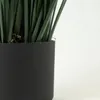Planta Grass Violet 95cm - Color Unico en Multicolor - Muebles para el exterior, Uruguay | Indian, vista 4 de 4